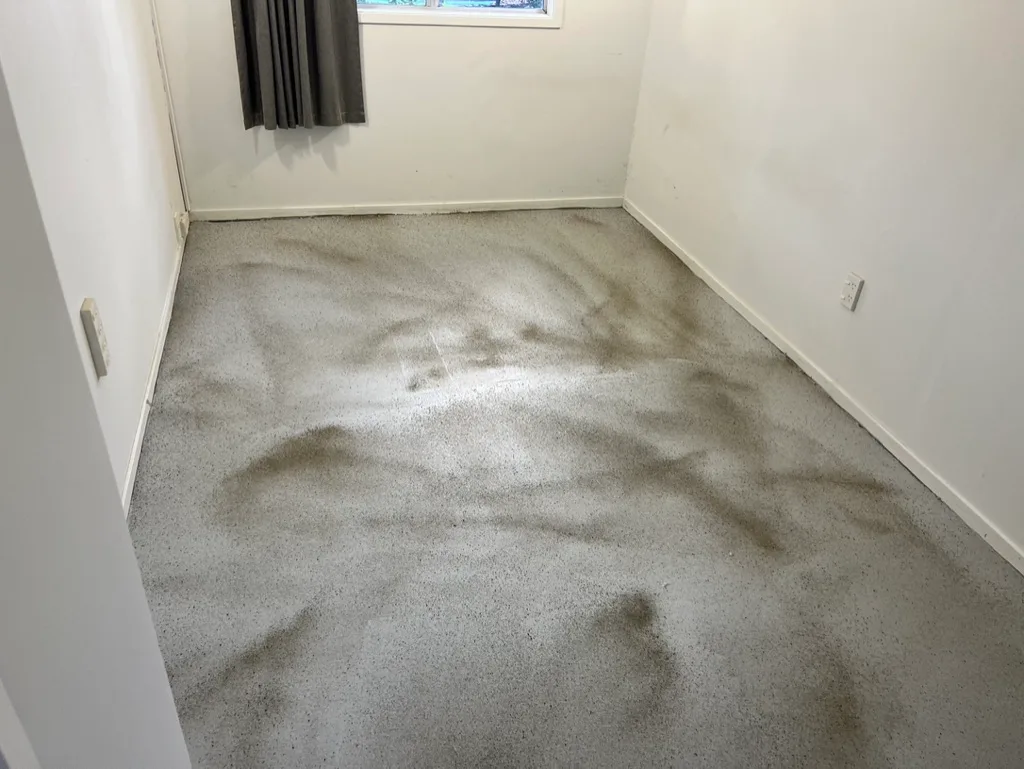 Basement Waterproofing in Henderson, Auckland — Goliath Coatings