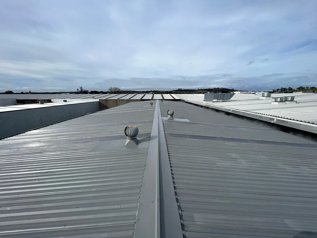 Roof Painting & Restoration in Auckland