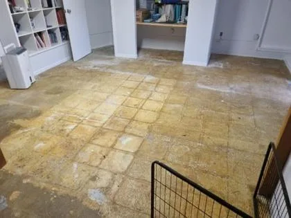 Basement Waterproofing in Henderson, Auckland — Goliath Coatings — photo 7