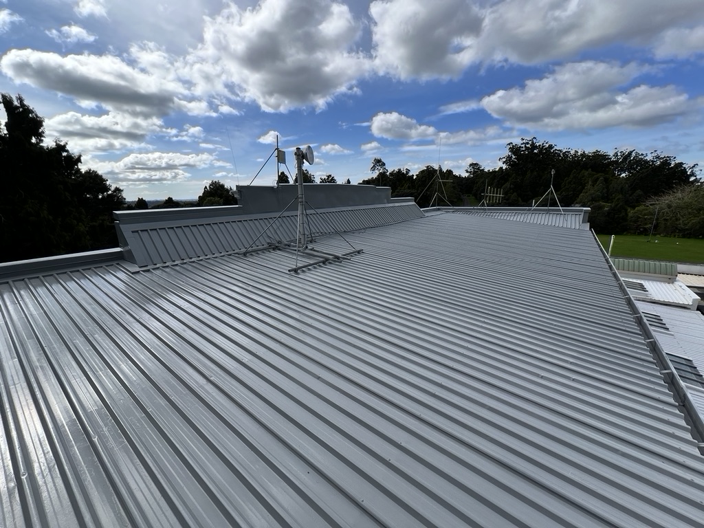 Watercare Roof Painting in Swanson, Auckland