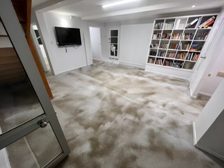 Basement Waterproofing in Henderson, Auckland