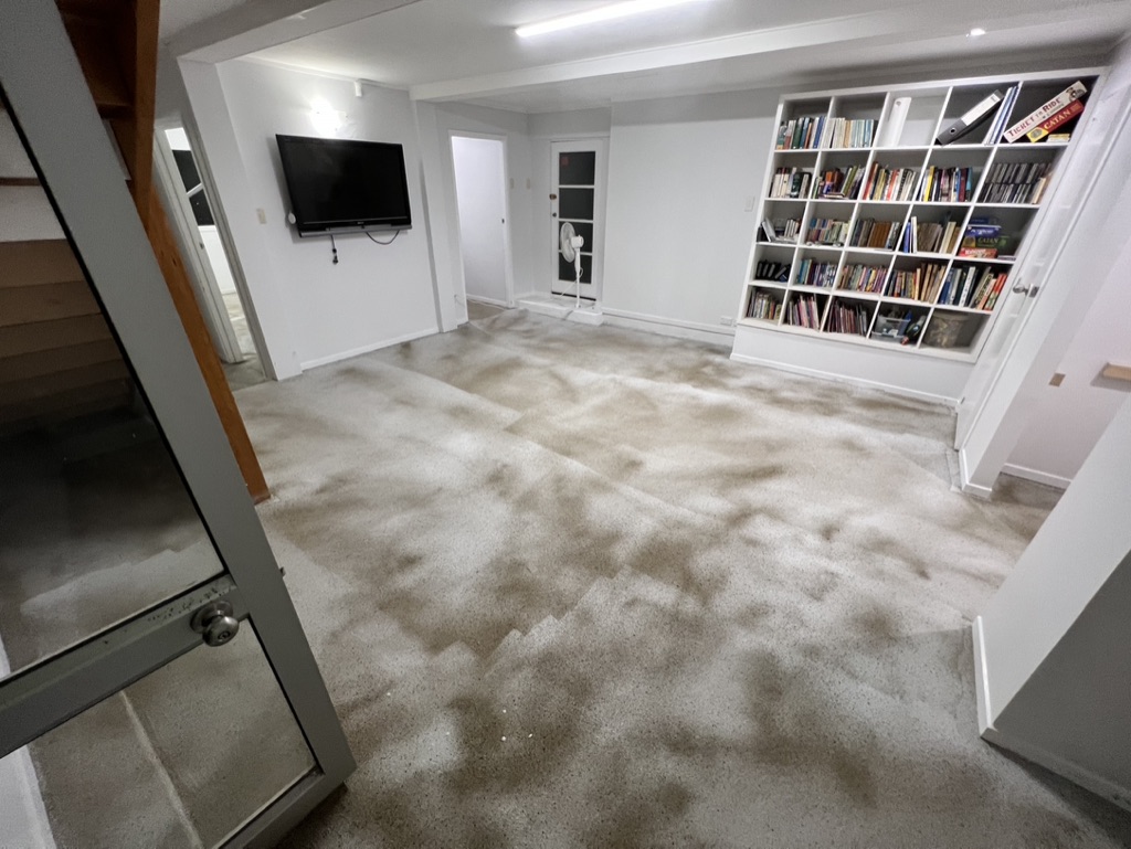 Basement Waterproofing in Henderson, Auckland