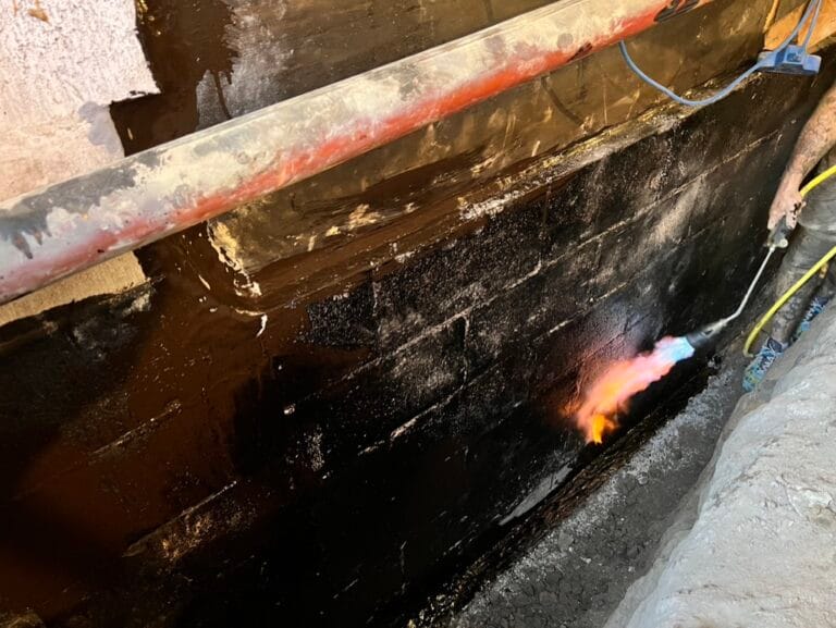 Basement Waterproofing in Forest Hill, Auckland