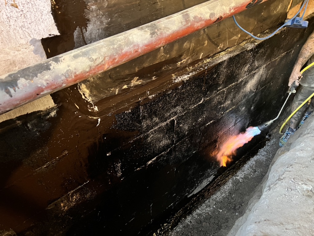 Basement Waterproofing in Forest Hill, Auckland