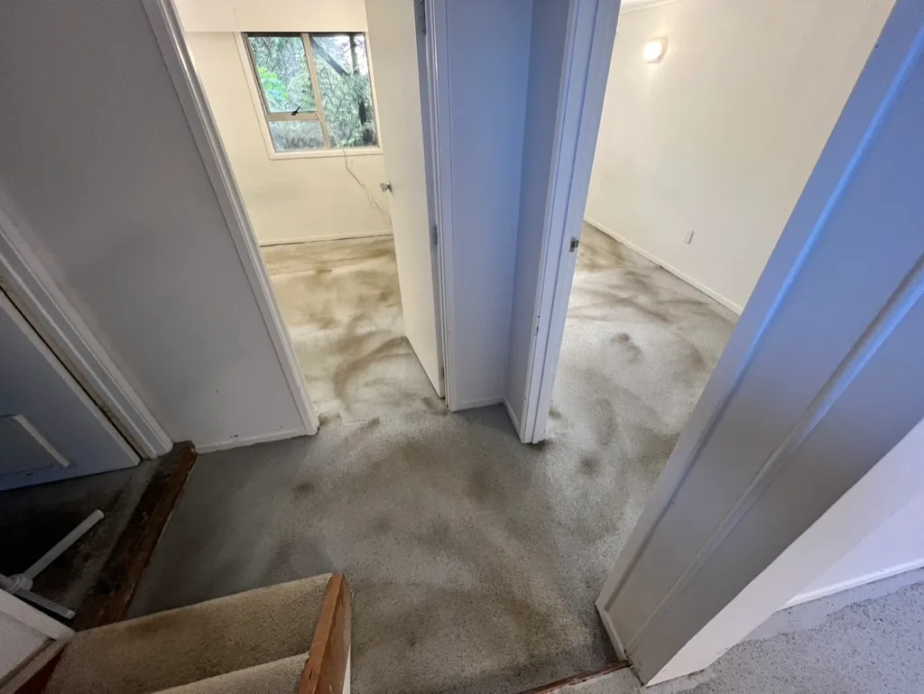 Basement Waterproofing in Henderson, Auckland — Goliath Coatings — photo 2