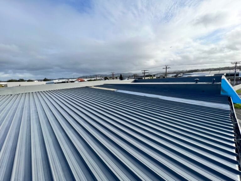 Roof Painting in Henderson, Auckland