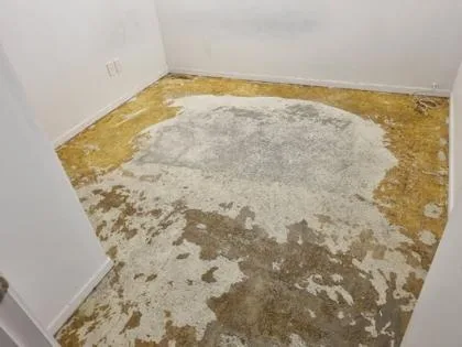 Basement Waterproofing in Henderson, Auckland — Goliath Coatings — photo 8