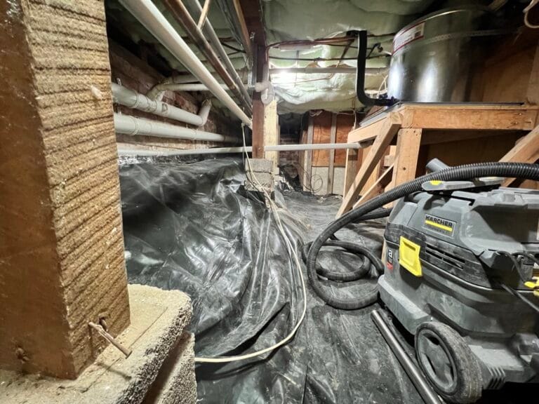 Basement Waterproofing in Remuera, Auckland