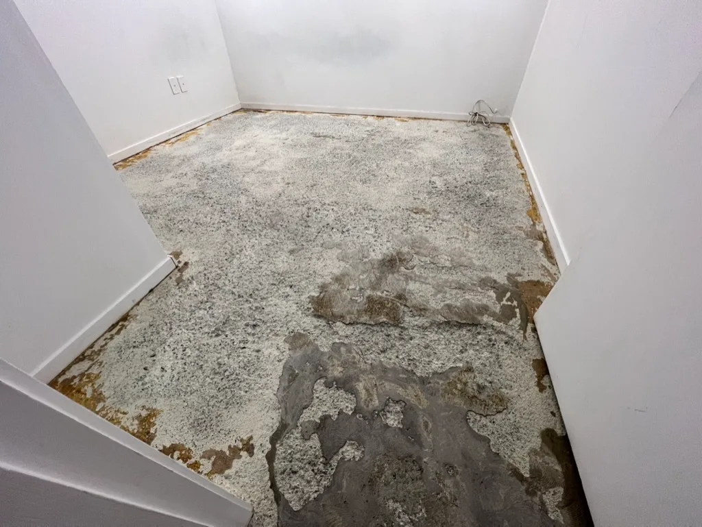 Basement Waterproofing in Henderson, Auckland — Goliath Coatings — photo 6
