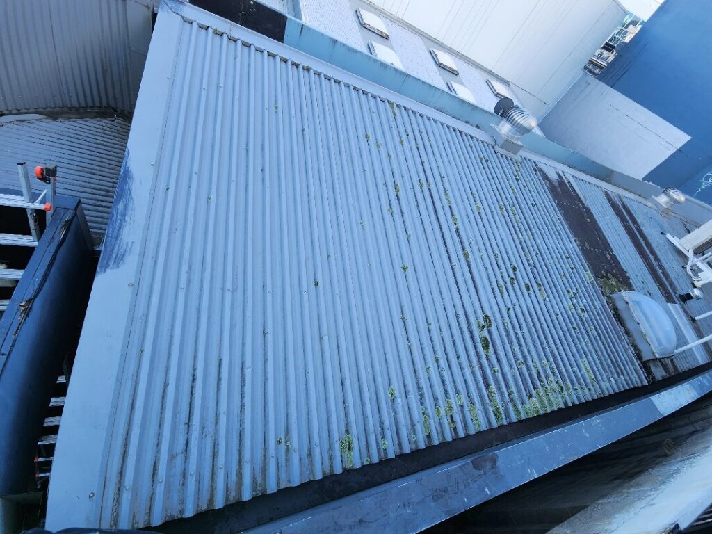 Roof Painting in CBD, Auckland — Goliath Coatings — photo 10