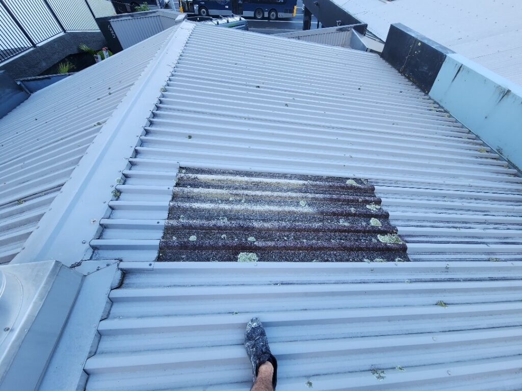 Roof Painting in CBD, Auckland — Goliath Coatings — photo 8