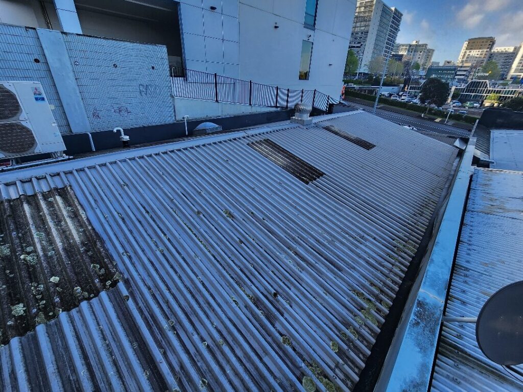 Roof Painting in CBD, Auckland — Goliath Coatings — photo 6