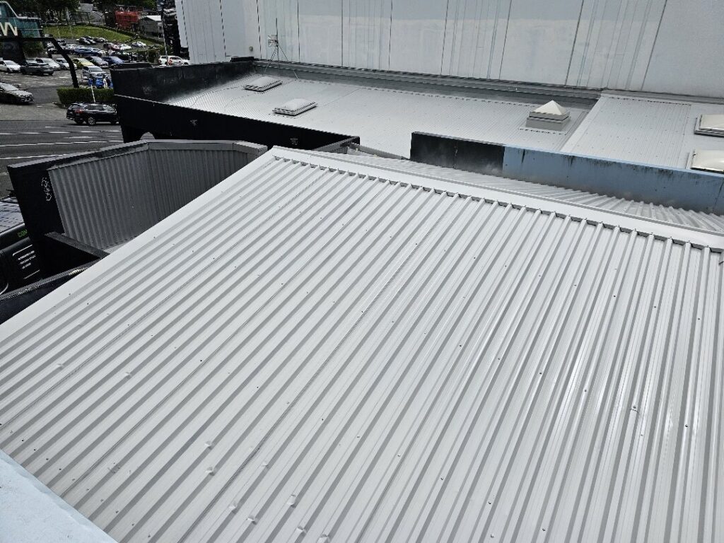 Roof Painting in CBD, Auckland — Goliath Coatings — photo 4
