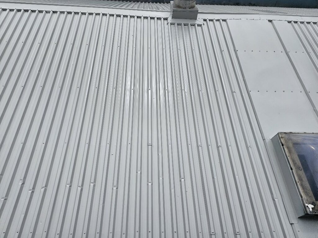 Roof Painting in CBD, Auckland — Goliath Coatings — photo 3