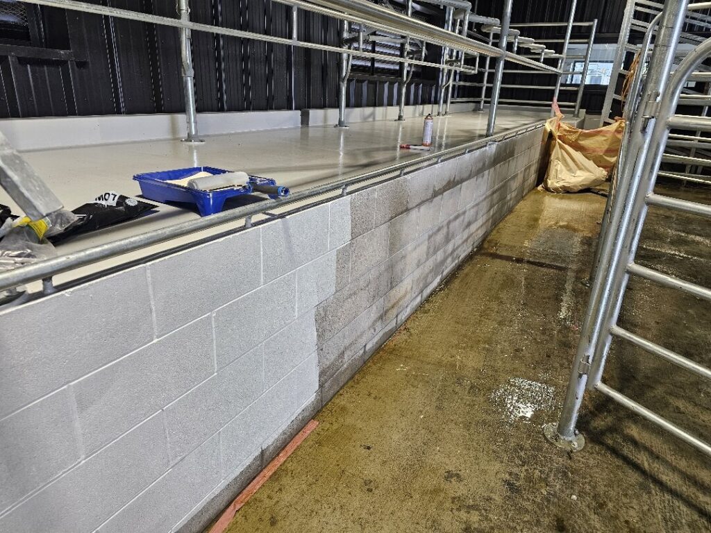 Epoxy Flooring in Puni, Auckland — Goliath Coatings — photo 6