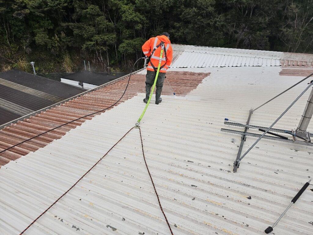 Roof Painting in Swanson, Auckland — Goliath Coatings — photo 9