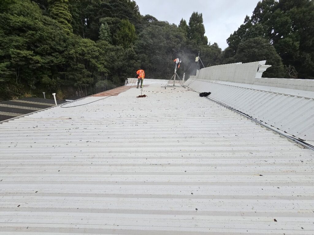 Roof Painting in Swanson, Auckland — Goliath Coatings — photo 8