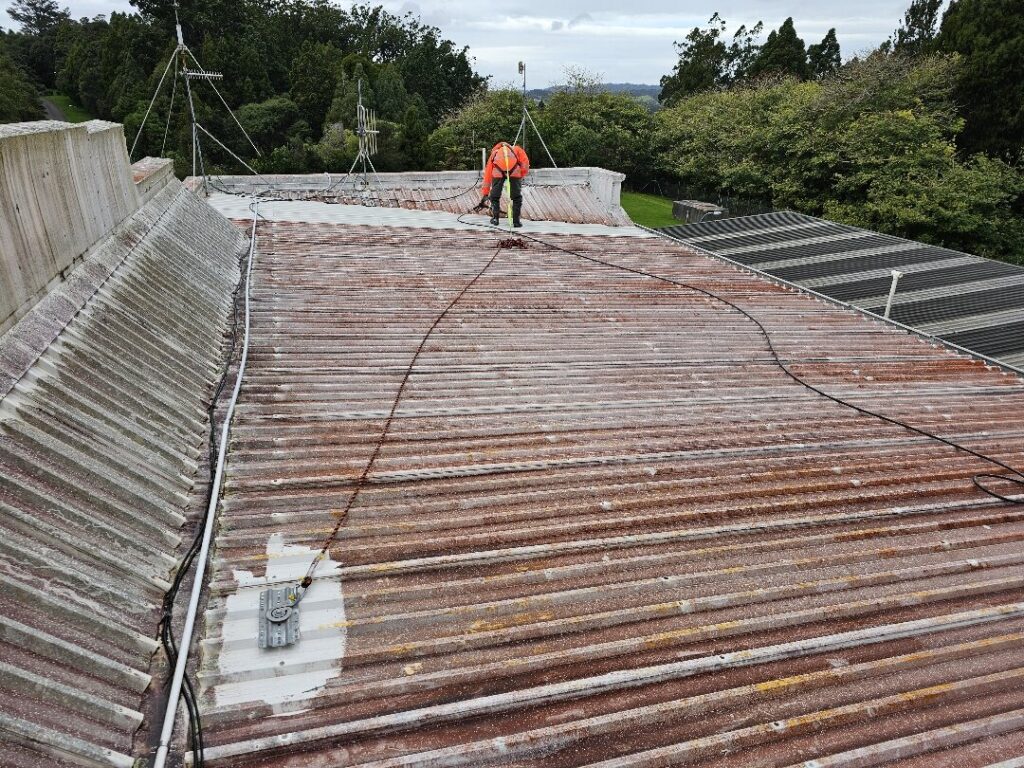 Roof Painting in Swanson, Auckland — Goliath Coatings — photo 6