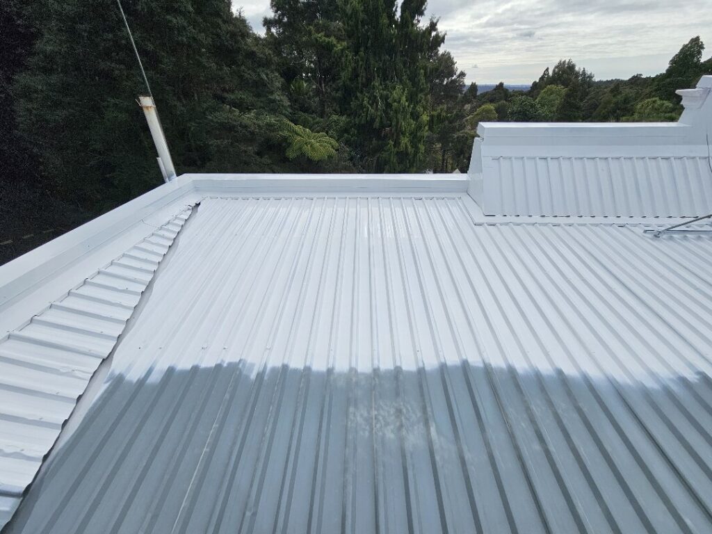 Roof Painting in Swanson, Auckland — Goliath Coatings — photo 5