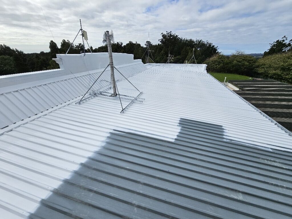 Roof Painting in Swanson, Auckland — Goliath Coatings — photo 2