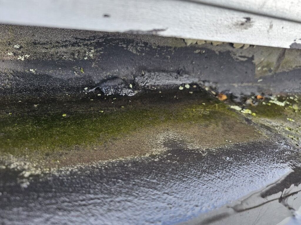 Roof Membrane Waterproofing in Papakura, Auckland — Goliath Coatings — photo 13