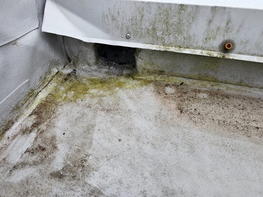 Roof Membrane Waterproofing in Point Chevalier, Auckland — Goliath Coatings — photo 7