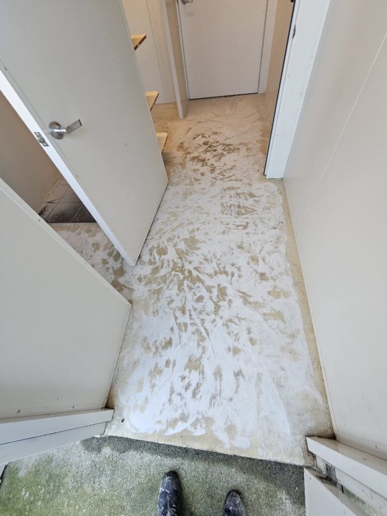 Epoxy Flooring in Mercer, Waikato — Goliath Coatings — photo 6